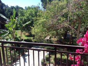 Κήπος έξω από το Hotel Dougas