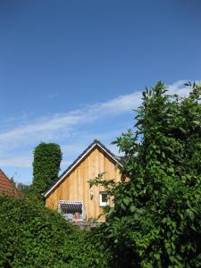 a wooden house on a hill with trees at Blue House Rügen in Altenkirchen