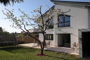 a tree in front of a white house at Ferienhaus Frankstraße 5b in Zinnowitz