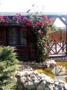 un jardin avec des roses sur un bâtiment et un étang dans l'établissement Rajski vrt, à Vrdnik