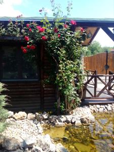 a garden with roses and a pond in front of a house at Rajski vrt in Vrdnik