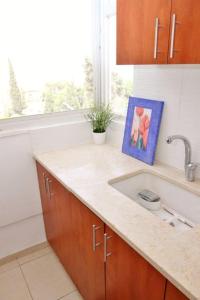 a kitchen with a sink and a painting on the counter at Holiday studio apartment near the Bahá ' í gardens in Haifa