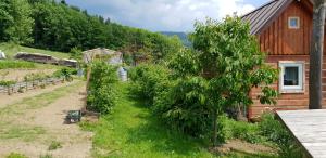 un jardin en face d'une maison en bois dans l'établissement Apartments Iwona, à Rokytnice nad Jizerou