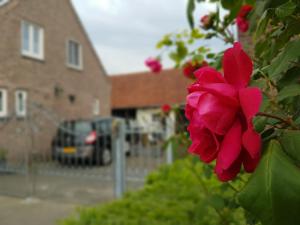 Das Gebäude in dem sich das Bed & Breakfast befindet