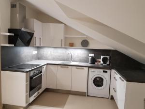 a kitchen with a sink and a washing machine at Wellness Apartmány EMPORIO in Loštice