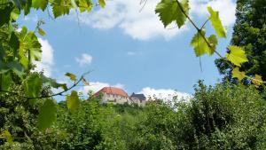 a castle on top of a hill with trees at Pension Unstrutpromenade in Freyburg