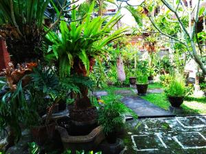 a garden with a bunch of plants and trees at Yumi House in Ubud