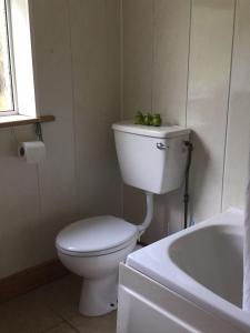 a bathroom with a toilet and a sink and a tub at teach donal og in Falcarragh