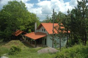 克拉斯諾波利耶的住宿－M & J，一座带橙色屋顶的小房子