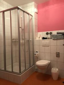ein Badezimmer mit Dusche und Toilette in der Unterkunft Ferienwohnungen Perlina Karpat in Bernkastel-Kues