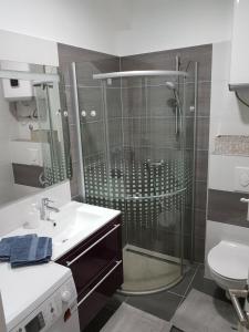 a bathroom with a shower and a sink and a toilet at Apartman Anita in Jesenice +24 photos