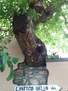 Afbeelding uit fotogalerij van L'Antico Gelso in Viggiano