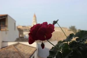 Foto sihtkohas Venosa asuva majutusasutuse Hotel Orazio galeriist