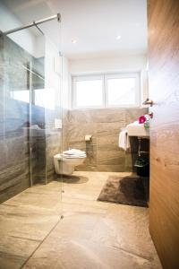 ein Bad mit einem WC und einer Glasdusche in der Unterkunft Apartment Aster in Wagrain