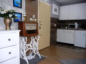 Kuchyňa alebo kuchynka v ubytovaní Villa Lucia - Apartments&Rooms