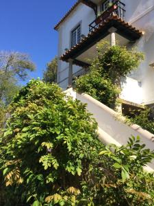 a white building with bushes in front of it at Villa Branca Jacinta in Sintra +39 photos