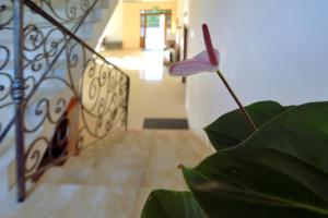 Fotografia z galérie ubytovania Villa Szelega v destinácii Pobierowo