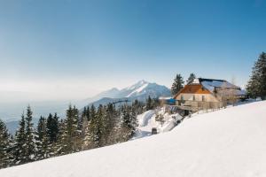 Afbeelding uit fotogalerij van Hotel House Rozka in Cerklje na Gorenjskem