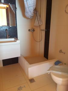 a bathroom with a shower and a toilet and a sink at Scorpina Villas in Agios Nikitas