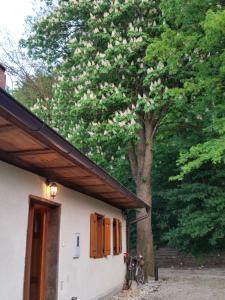 Budova, kde se the country house nachází