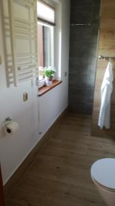 uma casa de banho com um WC e uma janela em Domek letniskowy w Rygoli em Rygol