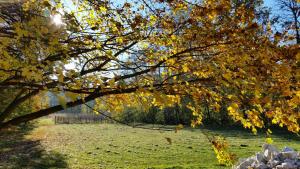 Zahrada ubytování Rural Holiday Home "Rim" Ruralna kuća za odmor