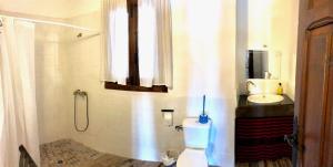 a bathroom with a shower and a toilet and a sink at La Casona de la Luz in Guadix