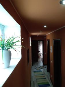 Fotografie z fotogalerie ubytování B&B "Al Calopinace" v destinaci Reggio di Calabria