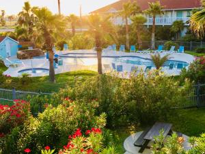 - une vue sur la piscine bordée de palmiers et de fleurs dans l'établissement Days Inn by Wyndham Port Aransas TX, à Port Aransas