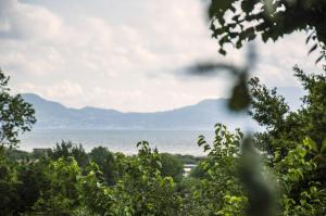 Foto dalla galleria di Lemontree House Bacoli a Bacoli