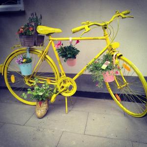 a yellow bike parked next to a building with potted plants at Pension Camping Schausten in Cochem