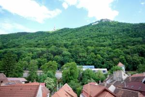 een berg met bomen en gebouwen voor een stad bij Casa Corona in Braşov