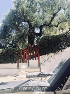 Foto sihtkohas Zákynthos asuva majutusasutuse Lofos Strani galeriist