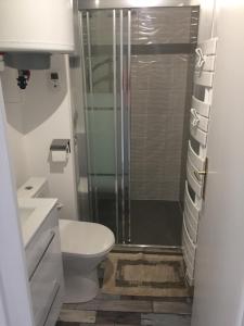 a bathroom with a toilet and a glass shower at Ar Kevel in La Baule