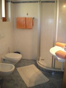 y baño con ducha, aseo y lavamanos. en Ferienwohnung Winklerhof en Maranza