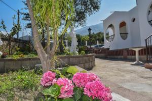 a bunch of pink flowers in front of a tree at Al Saliceto Hotel in Patti