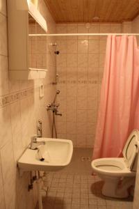 a bathroom with a sink and a toilet at Gasthaus Punkaharju in Punkaharju