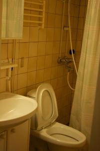 uma casa de banho com um WC, um lavatório e um chuveiro em Gasthaus Punkaharju em Punkaharju