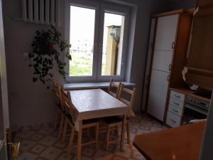 Kuchyňa alebo kuchynka v ubytovaní Apartament GRUBA RYBA