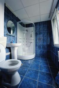 a blue tiled bathroom with a toilet and a shower at Casa Ana Serena in Eşelniţa +44 photos