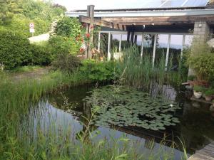 Zahrada ubytování Ferienhaus am Litzelberg FWO-194-2024