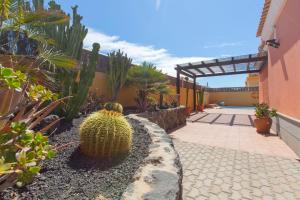 ogród z kaktusem i chodnikiem w obiekcie Villa Bella Lucia Luxury 2 w Corralejo