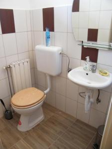łazienka z toaletą i umywalką w obiekcie Pál utcai Apartman Miskolc w Miszkolcu