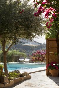 Bazén v ubytovaní Istron Luxury Villas alebo v jeho blízkosti