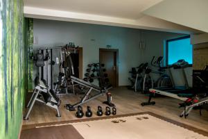 Fitness centrum a/nebo fitness zařízení v ubytování Hotel Oskar Business & Spa