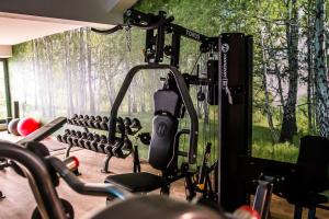 Fitness centrum a/nebo fitness zařízení v ubytování Hotel Oskar Business & Spa