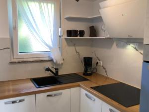 Kuchyňa alebo kuchynka v ubytovaní Apartments Villa Učka