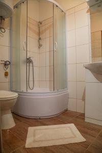 a bathroom with a shower and a toilet and a rug at Duje Apartments Milna in Milna