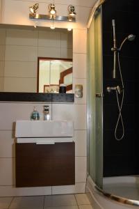 カルパチにあるApartamenty EverySky - Prusa 2A-09のバスルーム(シンク、シャワー付)