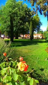 Zahrada ubytování La Aldea Colorada Casa Rural